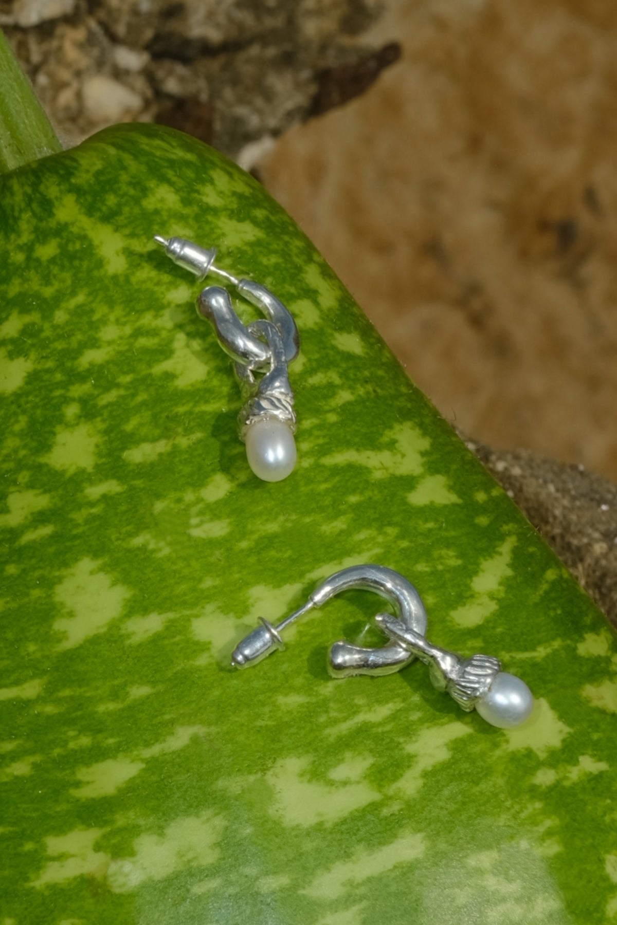 poco earrings