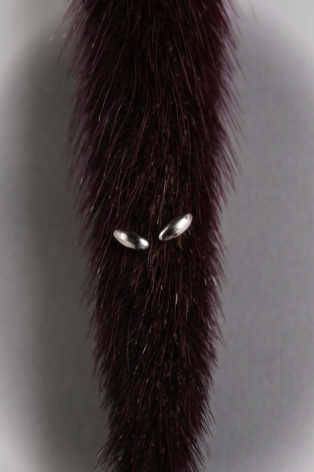 seed earrings