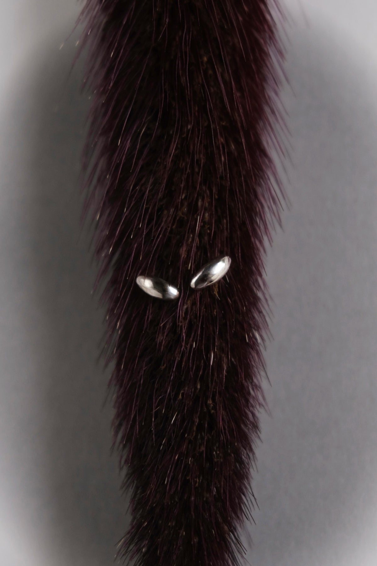 seed earrings