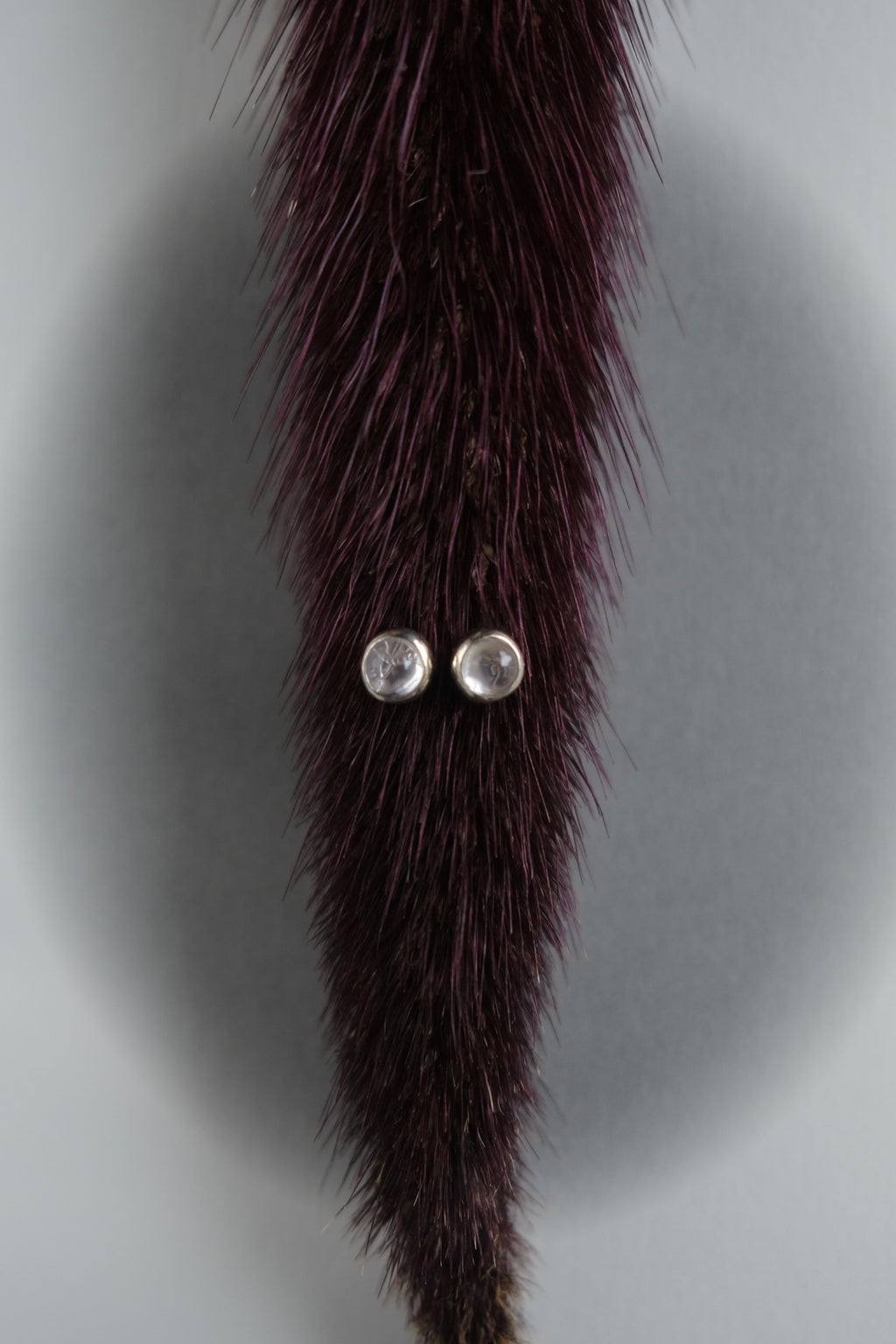 sirius earrings