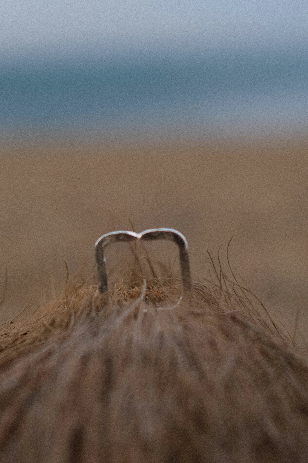 loosey ring