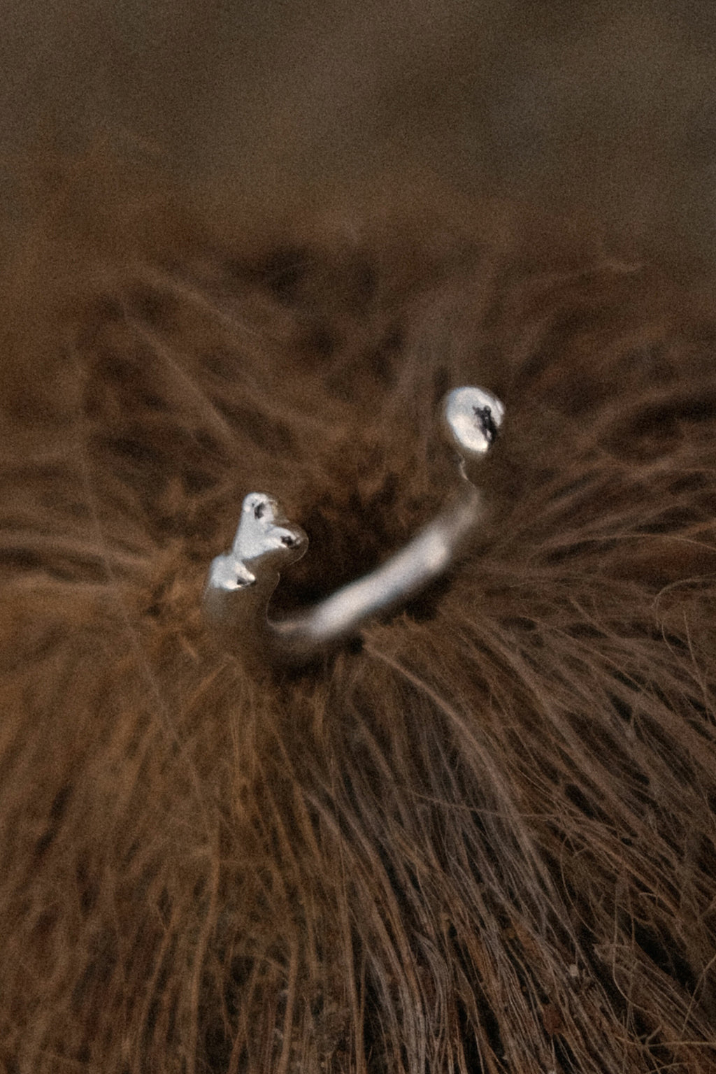 goosey ring