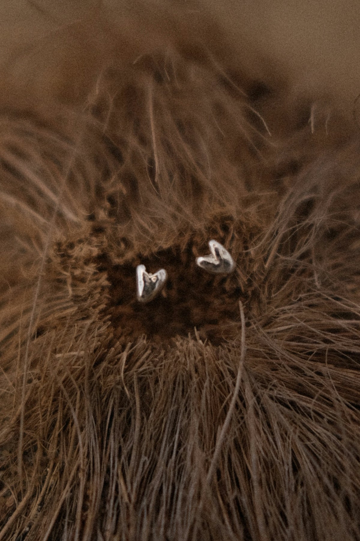 dizzy earrings