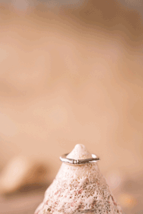 Honeymoon ring